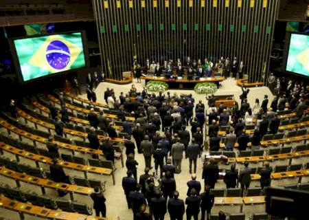 4 deputados federais são reeleitos e 4 são eleitos para representar MS na Câmara