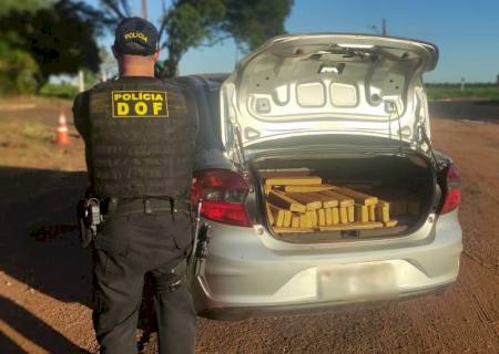 DOF apreende adolescente com quase 400 quilos de maconha