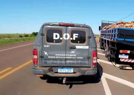 DOF apreende quase três toneladas de droga em meio a carga de madeira