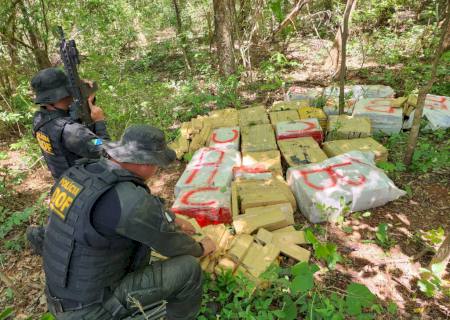 DOF encontra maconha avaliada em R$ 1,3 milhão em meio a mata