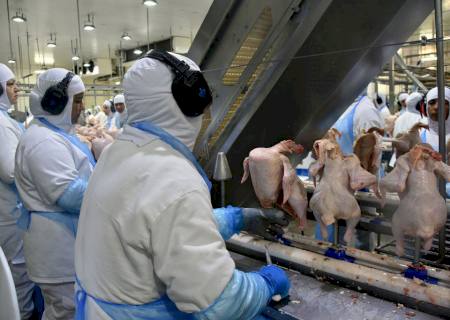 Exportação de industrializados alcança em outubro melhor resultado para o mês em toda a série histórica