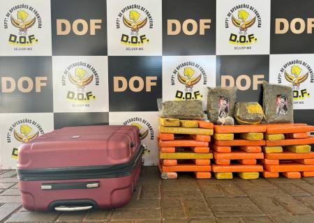 Adolescentes de 14 e 16 anos são apreendidas pelo DOF com 52 kg de maconha e skunk