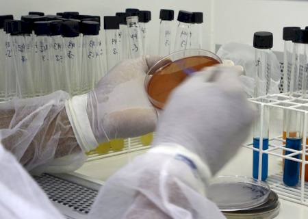 Nova Andradina chega a 30 casos ativos da covid-19