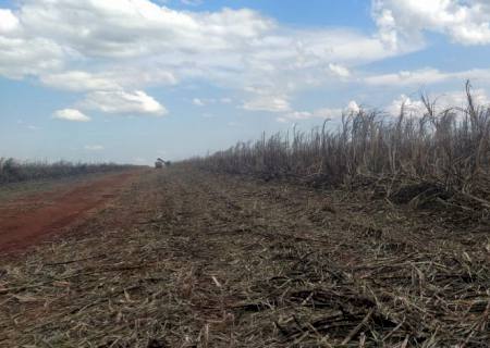 Polícia Ambiental autua usina sucroenergética de Rio Brilhante em R$ 163 mil por incêndio em palha