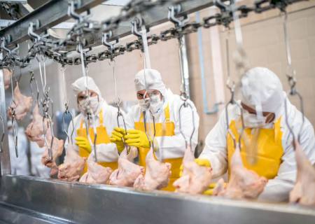 Produção industrial apresentou estabilidade ou crescimento na maioria das empresas de MS em novembro
