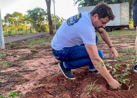 Campo Grande tem o primeiro pomar urbano de guavira do Brasil