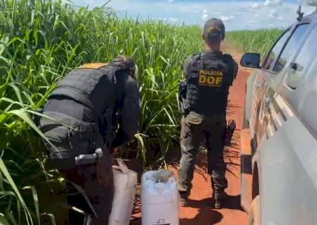 DOF apreende droga escondida em tambores de defensivos agrícolas em Laguna Carapã