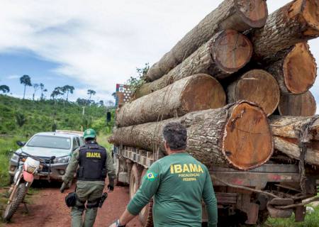 Ibama: Grupo vai fiscalizar fraudes em sistemas de controle florestal