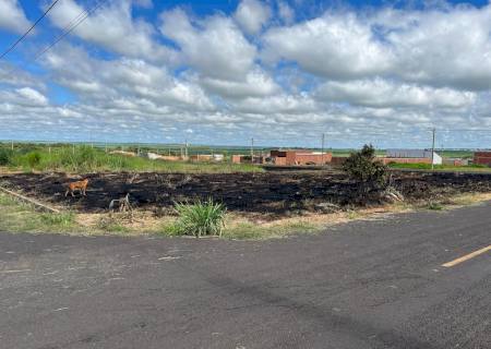 Empresa imobiliária é multada em R$ 9,5 mil por incêndio em vegetação de loteamentos em Nova Andradina