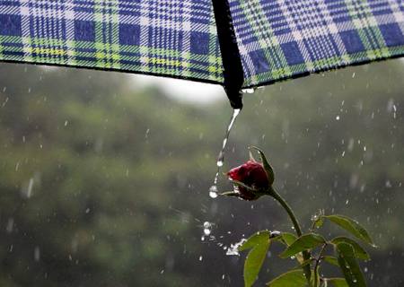 Segunda segue com temperaturas altas e pancadas de chuva em diferentes regiões do Estado