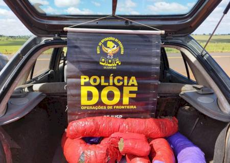 Casal é preso pelo DOF com 13 kg de maconha em Tucuru