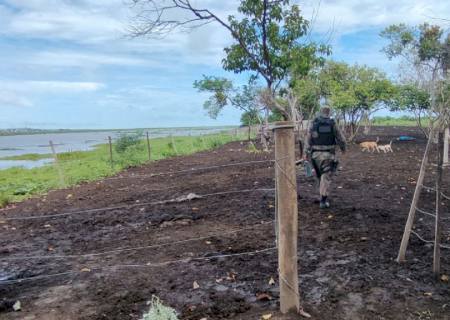 Polícia Ambiental de Corumbá interdita construções de mangueiro e embarcadouro às margens do rio Paraguai