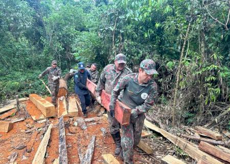 Polícia Ambiental autua dono de sítio por armazenamento, exploração e comercialização de madeira