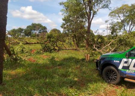 Polícia Ambiental autua infrator por derrubada de árvores ilegalmente no Assentamento Teijin