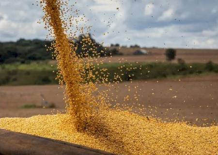 Mato Grosso já é o 3º maior produtor de soja do mundo