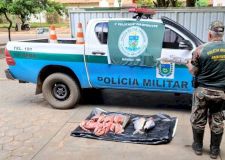Polícia Ambiental de Naviraí autua dois infratores por transporte ilegal de 74 kg de peixes