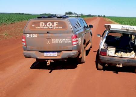 Traficante é preso com 20 kg de maconha em Laguna Carapã