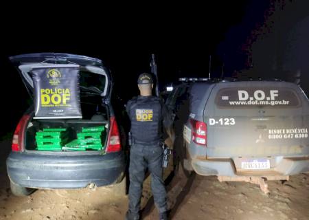 DOF apreende quase 200 quilos de droga que seriam levados para Santa Catarina