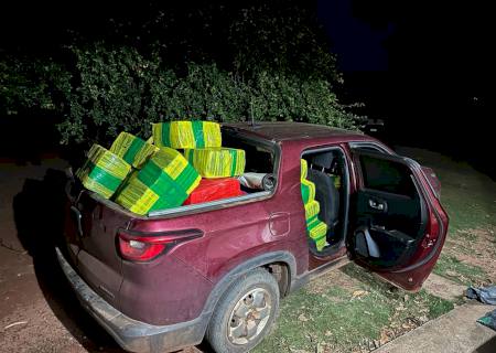 Polícia Civil de Mundo Novo descobre depósito e apreende 4,5 ton de maconha, armas de fogo e veículo