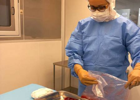 Pesquisa desenvolve curativos biológicos à base de placenta