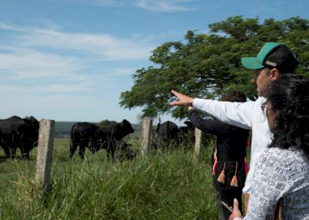 MS recebe missão técnica do México para auditoria nos sistemas de produção