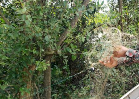 Polícia Ambiental de Dourados fiscaliza 17 embarcações e 63 pescadores no rio Brilhante