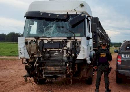 DOF apreende carreta com 50 mil pacotes de cigarros contrabandeados na MS-145