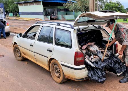 Polícia Ambiental autua dois pescadores paranaenses por pesca e transporte ilegal de pescado na BR-487