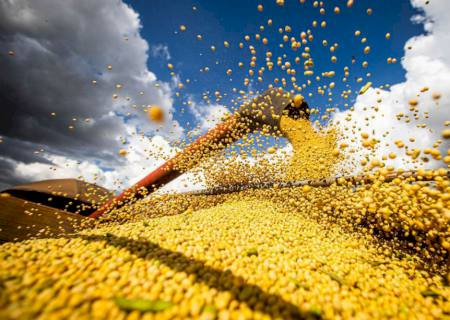 Produção de grãos atinge recorde e tem alta de 18,4% em 2022/2023