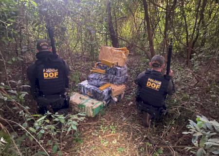 DOF encontra mais de 300 kg de maconha em meio a uma mata em Aral Moreira