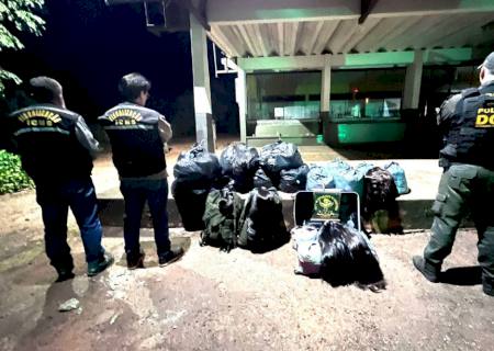 Ação conjunta apreende cabelos humanos avaliados em R$ 1 milhão em Nova Alvorada do Sul