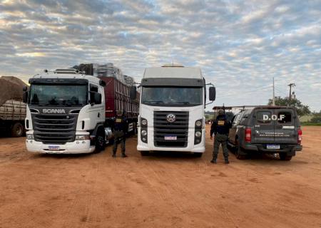 Caminhões carregados com materiais ilegais são apreendidos pelo DOF em Tacuru