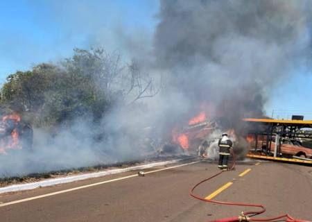 Motorista morre carbonizado em acidente na MS-338 entre Bataguassu e Santa Rita do Pardo