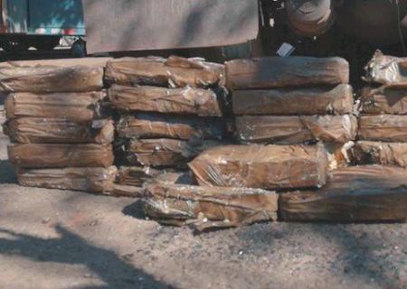 Cães farejadores da PRF encontram 31 kg de cocaína em Campo Grande