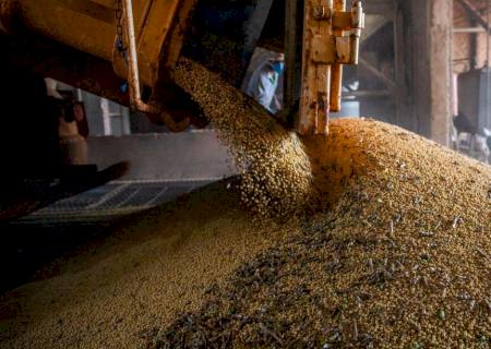 Ipea revisa crescimento do PIB agro para 2023 de 11,6% para 13,2%