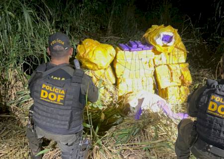 DOF encontra drogas escondidas em mata, avaliadas em quase R$ 1 milhão