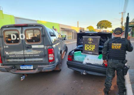 Denúncia leva DOF a apreender mais de 200 kg de maconha em Itaquiraí