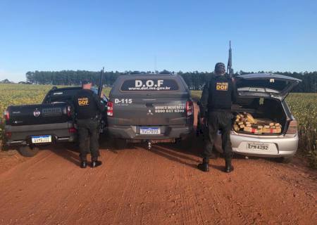 DOF intercepta 300 kg de drogas que seguiam de Ponta Porã para Campo Grande
