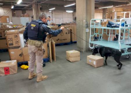 Ação conjunta com cães farejadores apreende drogas no Centro de Triagem dos Correios em MS