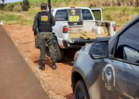 DOF apreende caminhonete com maconha que seguia para Brasília