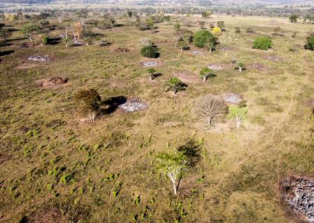 PMA de Rio Negro autua produtor rural por uso de fogo sem autorização do órgão competente