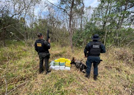 Cães farejadores encontram 162 kg de maconha e skunk nas margens da MS-040 em Brasilândia