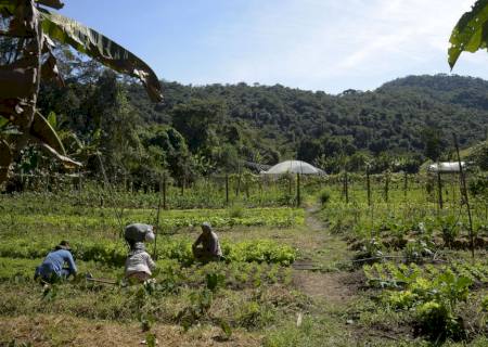 Lei institui política de empreendedorismo para jovens no campo