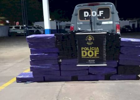 Quase meia tonelada de maconha é encontrada pelo DOF em plantação de milho em Amambai