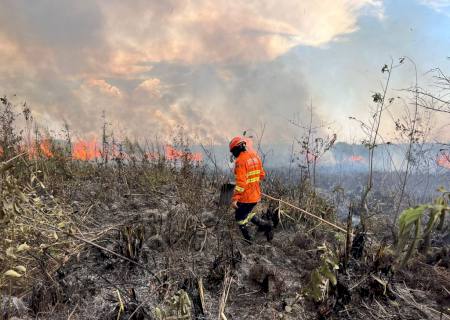 Bombeiros controlam incêndio florestal em Bonito e continuam em monitoramento na região