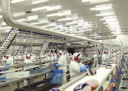 Após ação para controlar gripe aviária, Japão anuncia fim do embargo às exportações de frango de MS