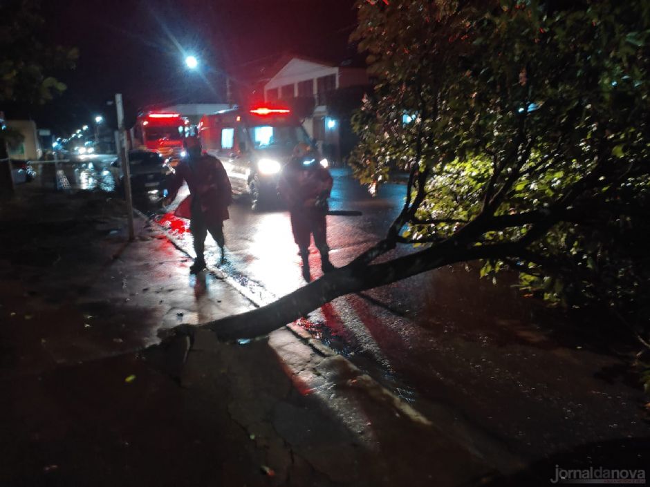 Dezenas de árvores caem após passagem de temporal em Nova Andradina