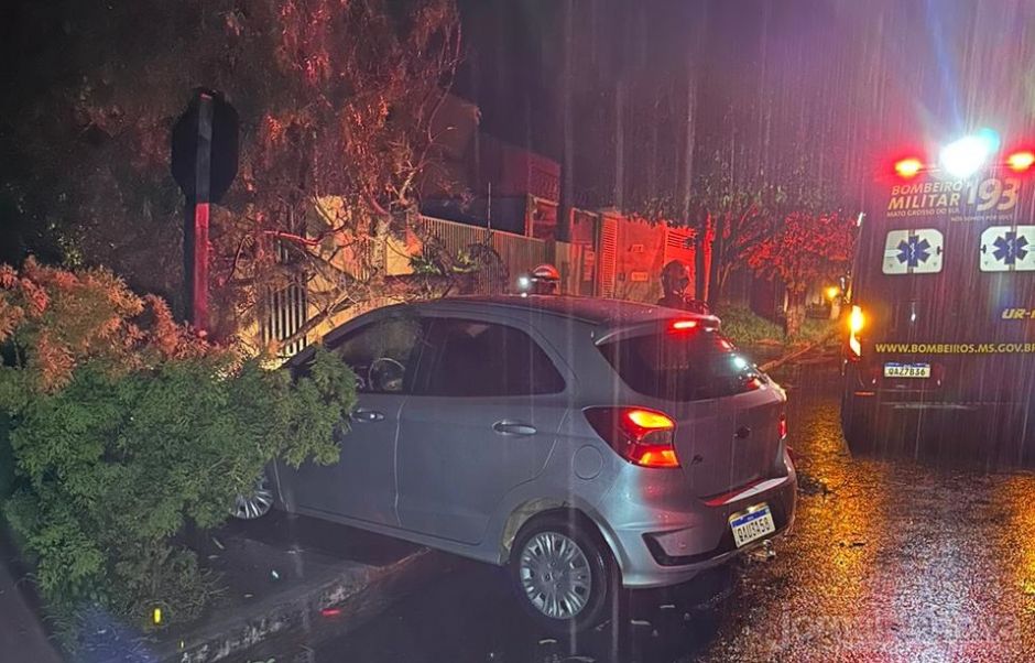 Dezenas de árvores caem após passagem de temporal em Nova Andradina