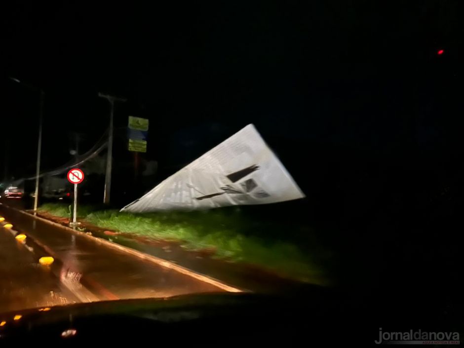 Dezenas de árvores caem após passagem de temporal em Nova Andradina