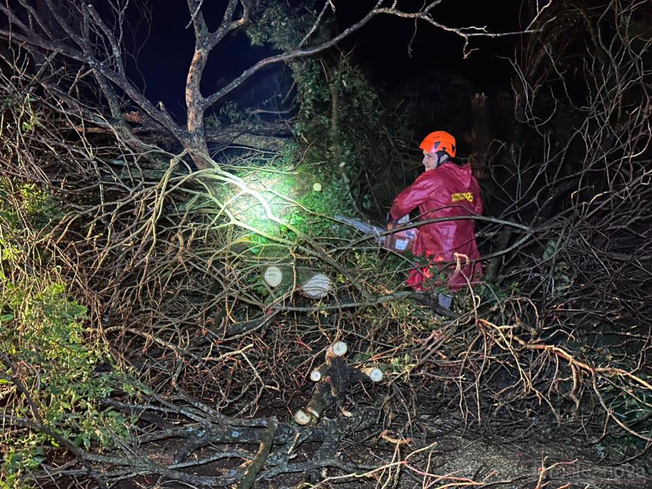 Dezenas de árvores caem após passagem de temporal em Nova Andradina